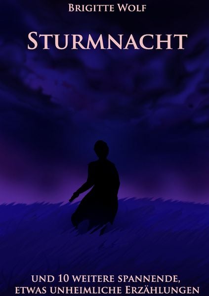 Produktbild: Sturmnacht