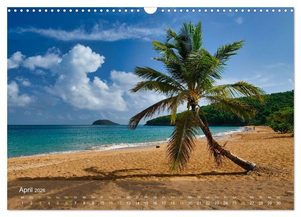 Produktbild: Guadeloupe - Karibische Traumstr&auml;nde (Wandkalender 2026 DIN A3 quer), CALVENDO Monatskalender