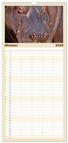 Produktbild: Familienplaner 2026 - Flusspferde - gem&uuml;tlich gef&auml;hrlich mit 5 Spalten (Wandkalender, 21 x 45 cm) CALVENDO