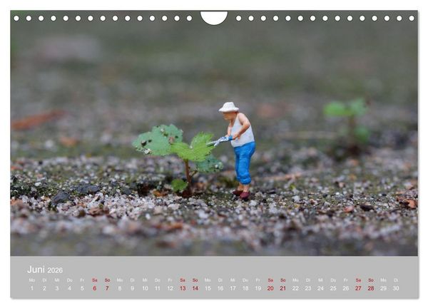 Produktbild: Das zweite Leben von Miniatur-Figuren (Wandkalender 2026 DIN A4 quer), CALVENDO Monatskalender