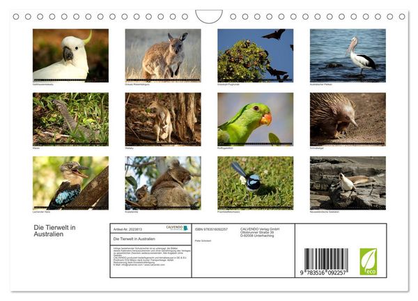 Produktbild: Die Tierwelt in Australien (Wandkalender 2026 DIN A4 quer), CALVENDO Monatskalender
