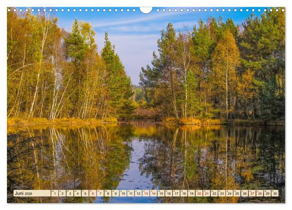 Produktbild: Herbst im Schwenninger Moos (Wandkalender 2026 DIN A3 quer), CALVENDO Monatskalender