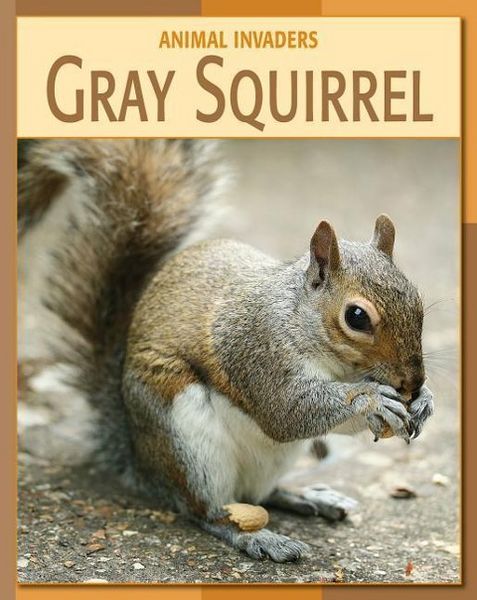 Produktbild: Gray Squirrel