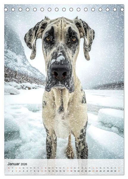 Produktbild: Deutsche Dogge - freundlicher Riese (Tischkalender 2026 DIN A5 hoch), CALVENDO Monatskalender