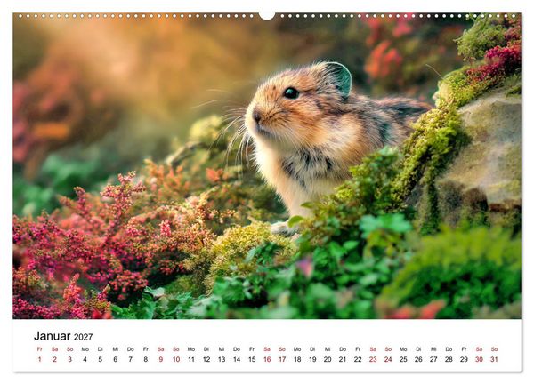 Produktbild: Lemminge - Kleine Helden der Tundra (hochwertiger Premium Wandkalender 2027 DIN A2 quer), Kunstdruck in Hochglanz