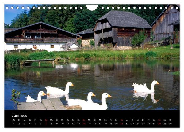 Produktbild: Bayerischer Wald (Wandkalender 2026 DIN A4 quer), CALVENDO Monatskalender