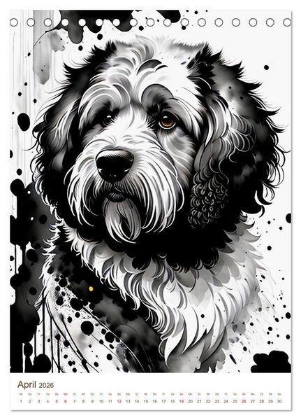 Produktbild: Der Labradoodle (Tischkalender 2026 DIN A5 hoch), CALVENDO Monatskalender