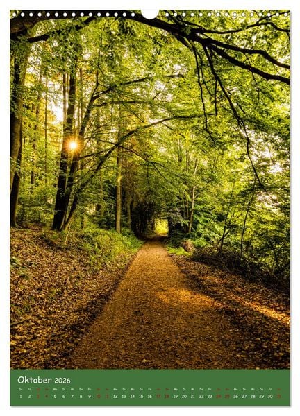 Produktbild: Ich bin dann mal im Wald (Wandkalender 2026 DIN A3 hoch), CALVENDO Monatskalender
