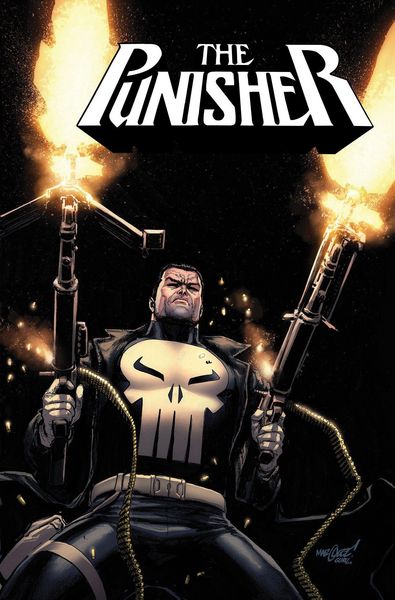 Produktbild: Punisher Vol. 1