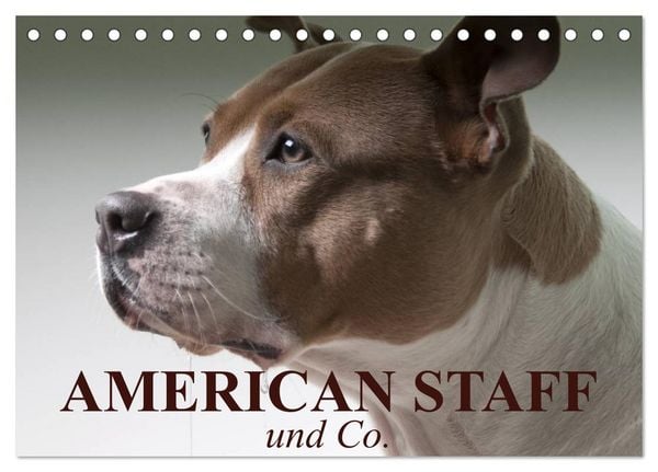 Produktbild: American Staff und Co. (Tischkalender 2026 DIN A5 quer), CALVENDO Monatskalender