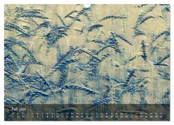 Produktbild: Surreales Farbspiel (Wandkalender 2026 DIN A3 quer), CALVENDO Monatskalender