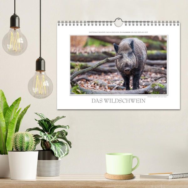 Produktbild: Emotionale Momente: Das Wildschwein. / CH-Version (Wandkalender 2026 DIN A4 quer), CALVENDO Monatskalender