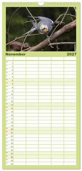 Produktbild: Familienplaner 2027 - Nymphensittiche mit 5 Spalten (Wandkalender, 21 x 45 cm) CALVENDO