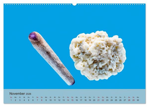 Produktbild: rosaroter korallensand (Wandkalender 2026 DIN A2 quer), CALVENDO Monatskalender