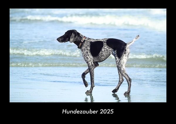 Produktbild: Hundezauber 2025 Fotokalender DIN A3