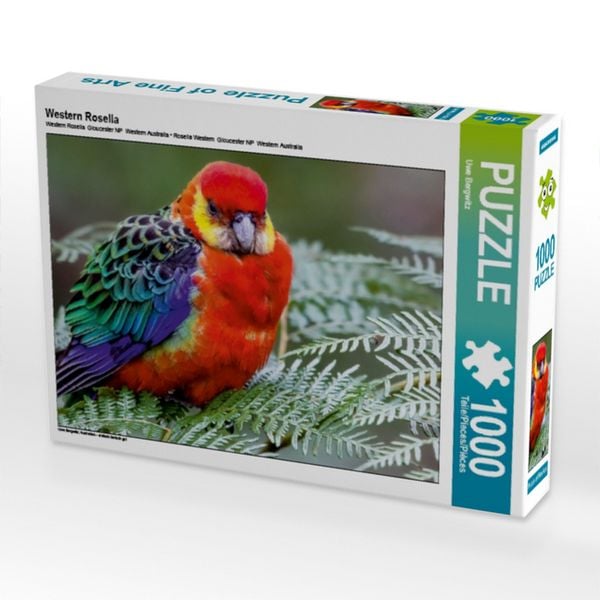 Produktbild: CALVENDO Puzzle Western Rosella | 1000 Teile Lege-Gr&ouml;&szlig;e 64x48cm Foto-Puzzle f&uuml;r gl&uuml;ckliche Stunden