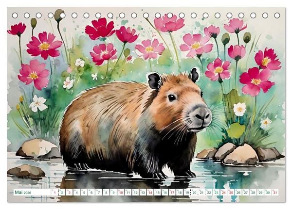 Produktbild: Das Capybara (Tischkalender 2026 DIN A5 quer), CALVENDO Monatskalender