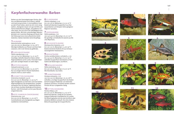 Praxishandbuch Aquarium
