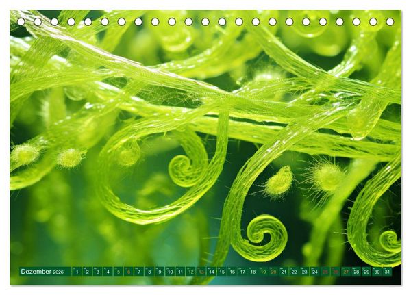 Produktbild: Algen - Superfood (Tischkalender 2026 DIN A5 quer), CALVENDO Monatskalender