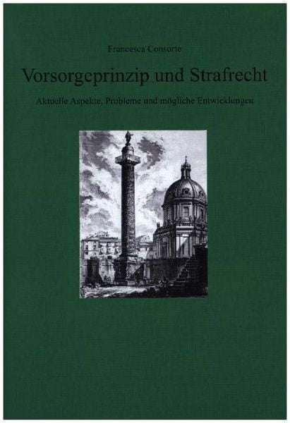 Produktbild: Consorte, F: Vorsorgeprinzip und Strafrecht