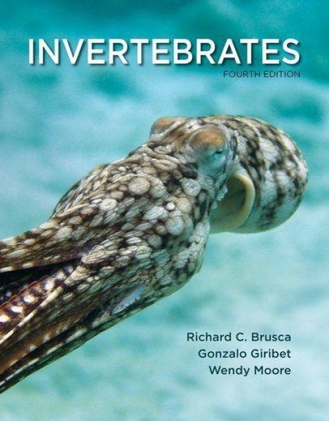 Produktbild: Invertebrates