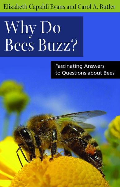 Produktbild: Why Do Bees Buzz?