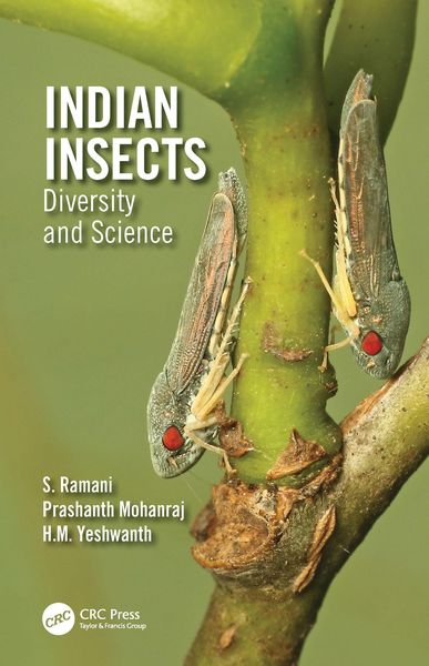 Produktbild: Indian Insects