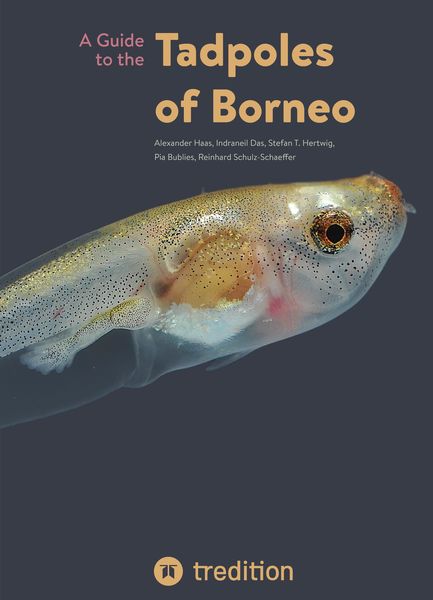 Produktbild: A Guide to the Tadpoles of Borneo