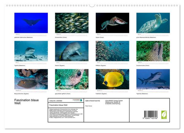 Produktbild: Faszination blaue Welt (hochwertiger Premium Wandkalender 2026 DIN A2 quer), Kunstdruck in Hochglanz