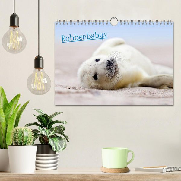 Produktbild: Robbenbabys (Wandkalender 2026 DIN A4 quer), CALVENDO Monatskalender