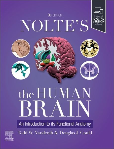 Produktbild: Nolte's The Human Brain