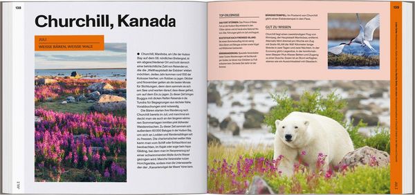 Produktbild: LONELY PLANET Bildband Offseason