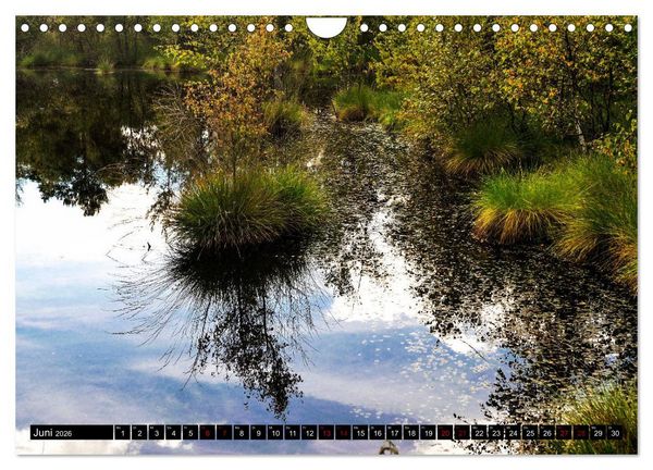 Produktbild: L&uuml;neburger Heide (Wandkalender 2026 DIN A4 quer), CALVENDO Monatskalender