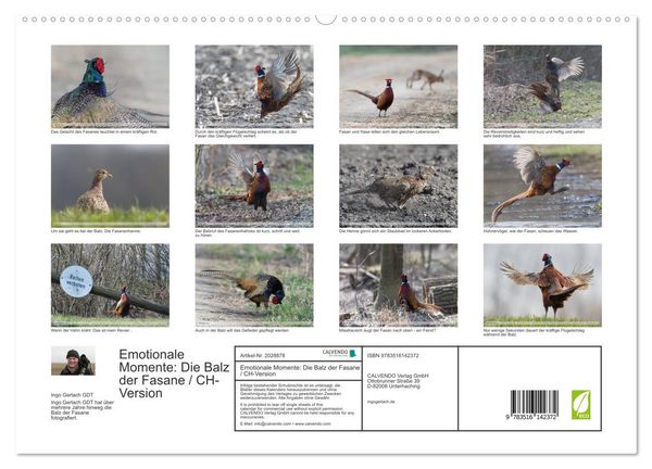 Produktbild: Emotionale Momente: Die Balz der Fasane / CH-Version (hochwertiger Premium Wandkalender 2026 DIN A2 quer), Kunstdruck in Hochglanz