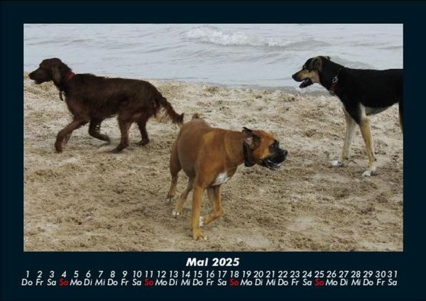 Produktbild: Str&auml;nde der Welt 2025 Fotokalender DIN A5