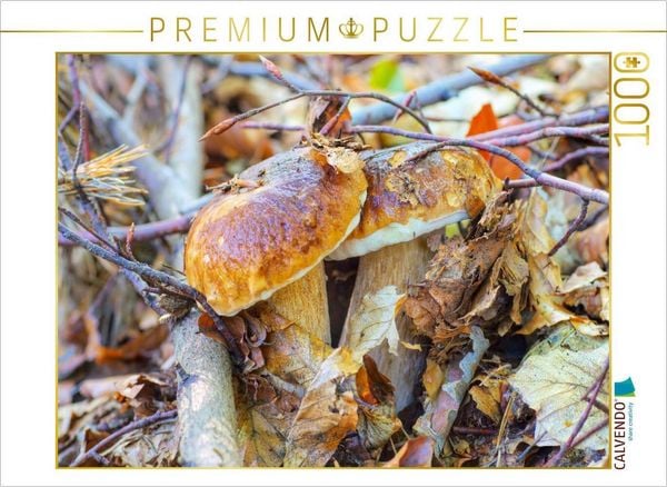 CALVENDO Puzzle Steinpilz | 1000 Teile Lege-Größe 64x48cm Foto-Puzzle für glückliche Stunden