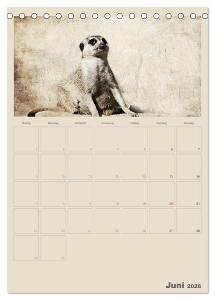 Produktbild: Lustige Erdm&auml;nnchen (Tischkalender 2026 DIN A5 hoch), CALVENDO Monatskalender