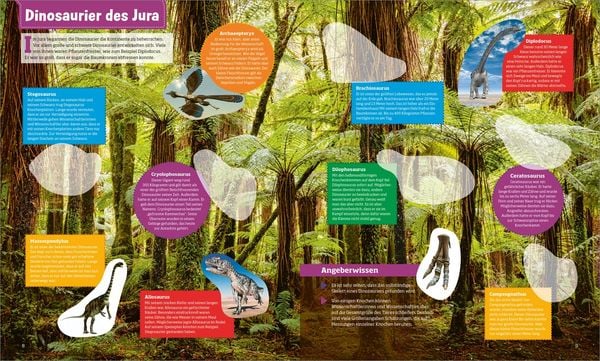 Produktbild: WAS IST WAS Stickerheft Dinosaurier