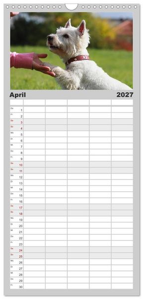 Produktbild: Familienplaner 2027 - West Highland White Terrier - Selbstbewustes Powerpaket - der Westie mit 5 Spalten (Wandkalender, 21 x 45 cm) CALVENDO