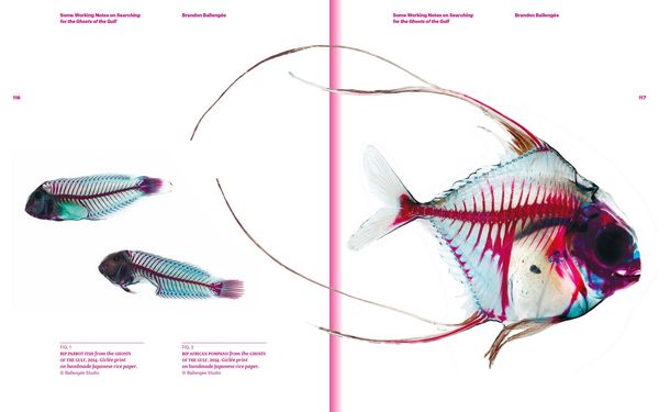 Produktbild: Plastic Ocean: Art and Science Responses to Marine Pollution