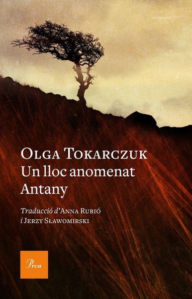 Produktbild: Un lloc anomenat antany