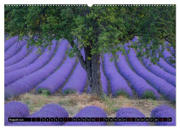 Produktbild: Provence im Rausch der Farben (Wandkalender 2026 DIN A2 quer), CALVENDO Monatskalender