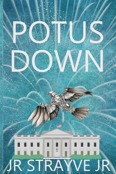 Produktbild: Potus Down
