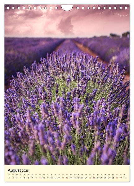 Produktbild: Provence Lavendel Paradies (Wandkalender 2026 DIN A4 hoch), CALVENDO Monatskalender