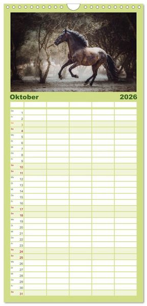 Produktbild: Familienplaner 2026 - Die Faszinierende Welt der Pferde mit 5 Spalten (Wandkalender, 21 x 45 cm) CALVENDO