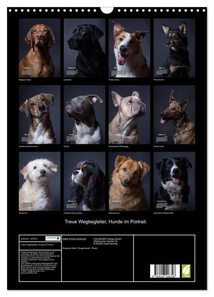 Produktbild: Treue Wegbegleiter, Hunde im Portrait. (Wandkalender 2026 DIN A3 hoch), CALVENDO Monatskalender