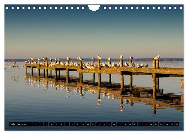 Produktbild: Steinhuder Meer - Steinhude (Wandkalender 2026 DIN A4 quer), CALVENDO Monatskalender