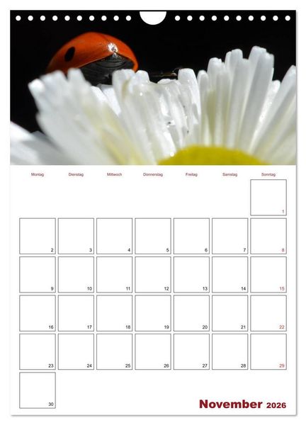 Produktbild: Marienk&auml;fergl&uuml;ck (Wandkalender 2026 DIN A4 hoch), CALVENDO Monatskalender