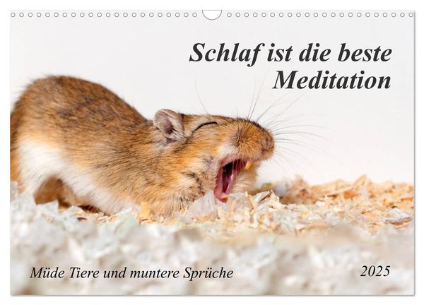 Schlaf ist die beste Meditation (Wandkalender 2025 DIN A3 quer), CALVENDO Monatskalender