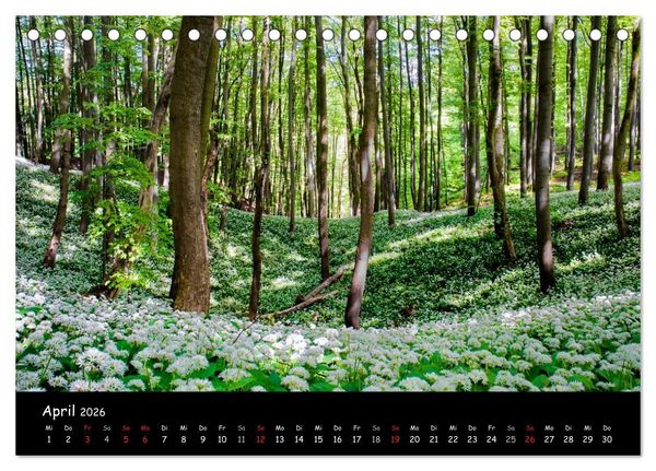 Produktbild: Faszination Harz 2026 (Tischkalender 2026 DIN A5 quer), CALVENDO Monatskalender